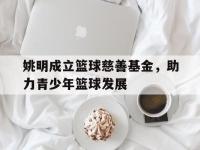 杏彩体育官网入口-包含姚明成立篮球慈善基金，助力青少年篮球发展的词条