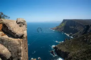 关于塔斯马尼亚联前锋线组合默契提升，世俱杯争冠利器的信息