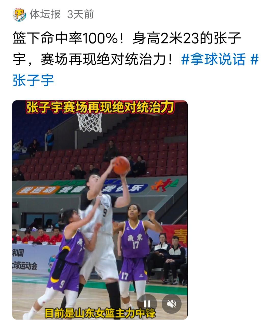 对手对张子宇防守动作越来越大，建议协会施压申诉